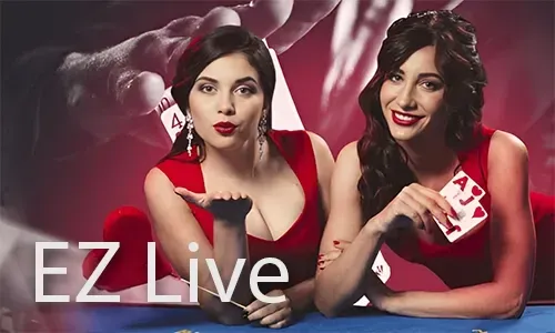 Slotvip Partner Logo